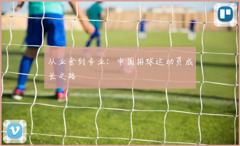 从业余到专业:中国排球运动员成长之路