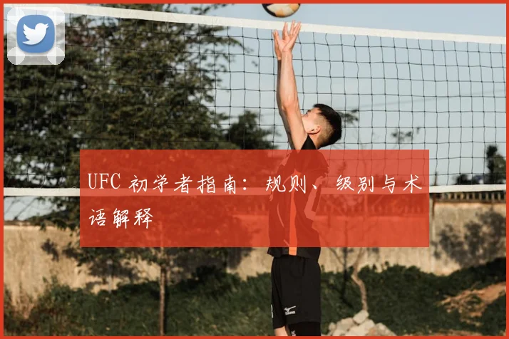 UFC 初学者指南:规则、级别与术语解释
