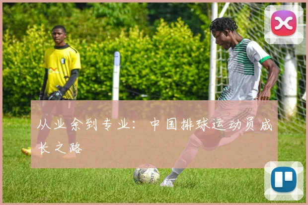 从业余到专业:中国排球运动员成长之路